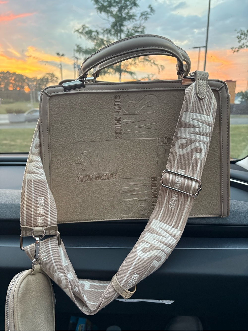 Steve Madden Purse